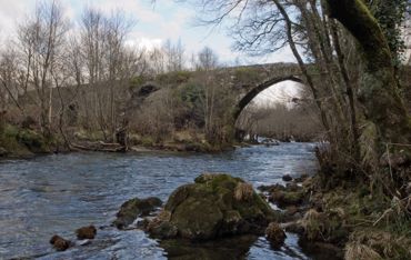 Pontes do Lérez. Ponte de Pedre